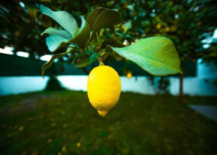 Poolemonhouse