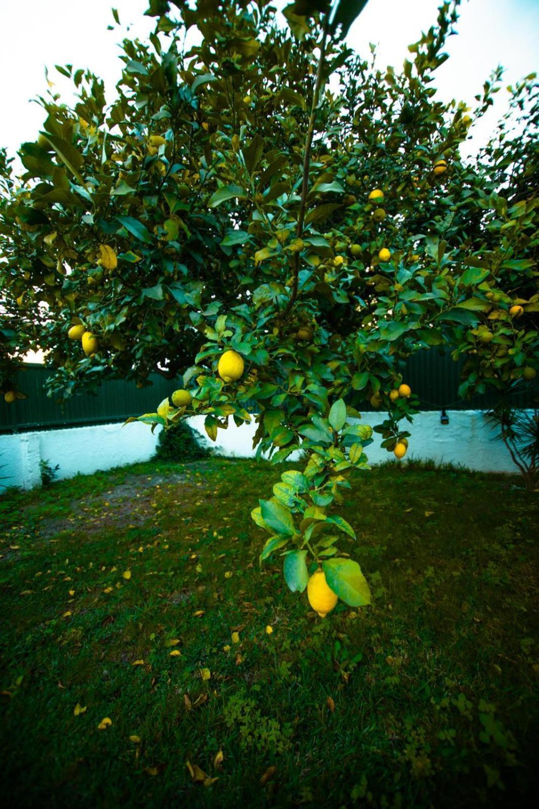 Poolemonhouse